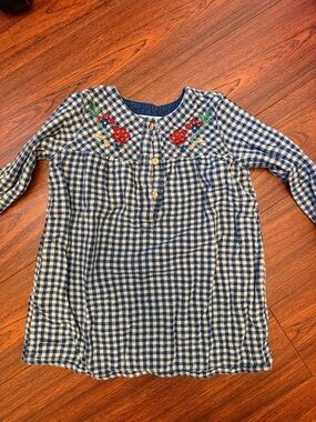 Zara Blue and White Gingham Dress with Red Floral Embroidery